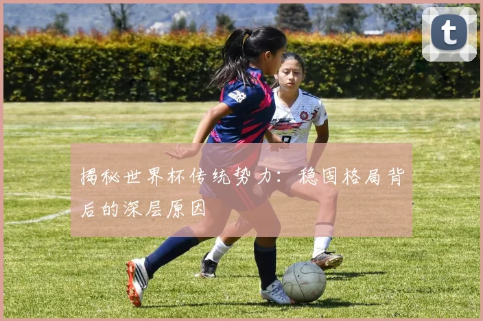 揭秘世界杯传统势力：稳固格局背后的深层原因